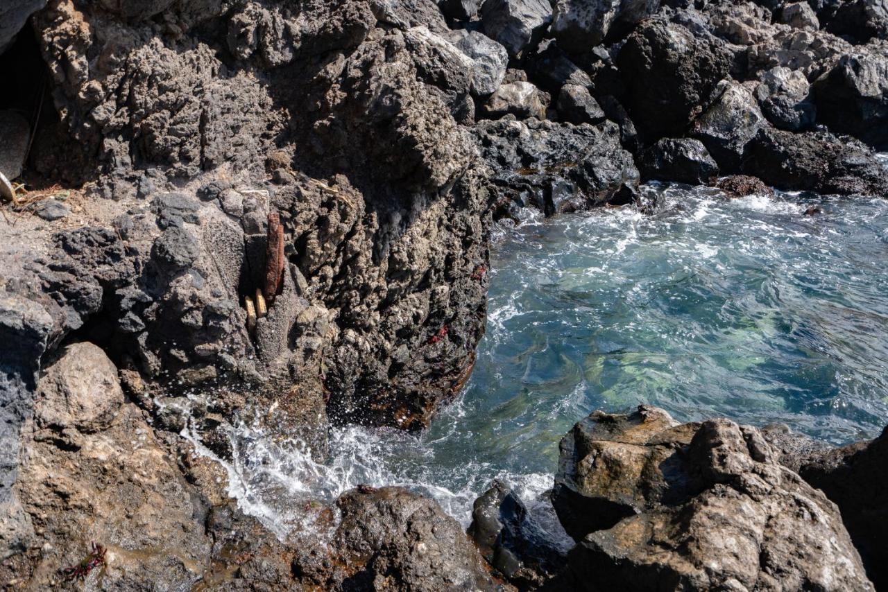 Vila Breath-Taking Views On The First Line Of The Ocean Santa Cruz de Tenerife Exteriér fotografie